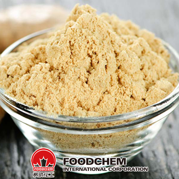 Dehydrated Ginger Powder suppliers