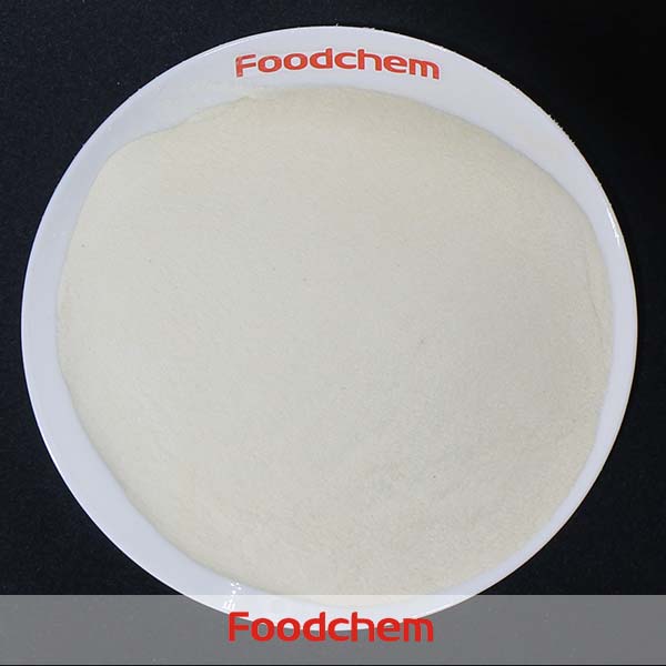 Xanthan Gum suppliers