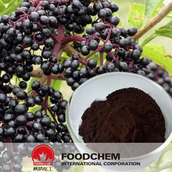Cranberry Extrakt - Anthocyanidins SUPPLIERS