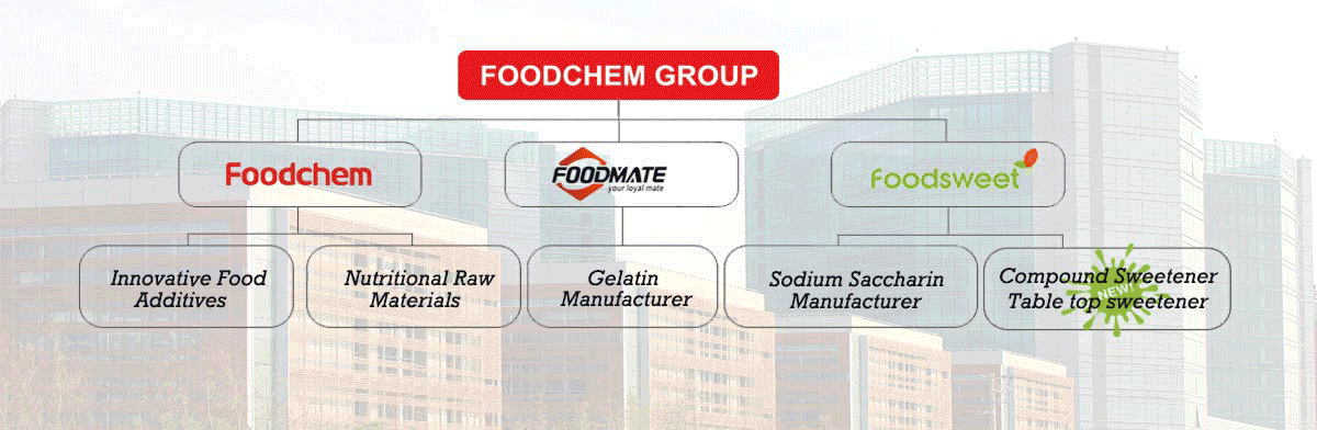 Foodchem Group