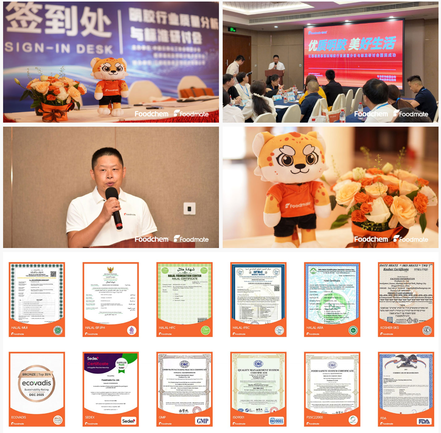 China gelatin manufacturer