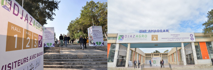 Djazagro 2019.